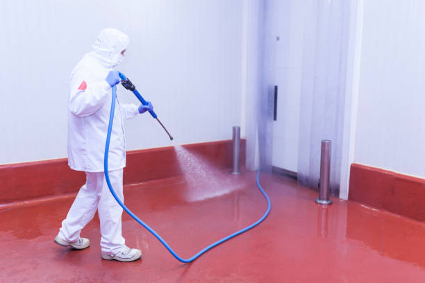 Best Sidewalk and Walkway Cleaning  in Merrillville, IN